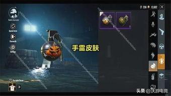 最新爆料手雷皮肤图片高清,最新手雷皮肤高清图曝光，炫酷特效引玩家热议