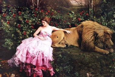 野兽女孩在线观看,在线观看，探索都市女性的独立与成长之旅