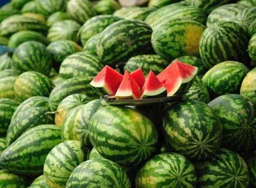 江阴网红吃瓜事件真相视频,揭秘真相背后的惊人内幕