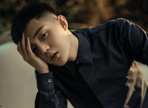 高迪媳妇被爆料视频播放,揭秘背后真相与网络舆论