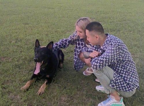 高迪媳妇被爆料视频播放,揭秘背后真相与网络舆论