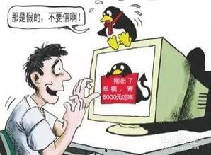 曾丽玲诈骗爆料了吗视频,揭秘网络爆料的真相与影响