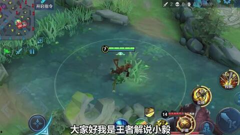 王者悟空爆料视频大全下载,揭秘王者世界背后的精彩瞬间