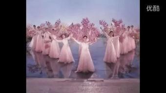 蝶恋花复仇在线观看,在线揭秘爱恨交织的复仇传奇