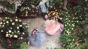 蝶恋花复仇在线观看,在线揭秘爱恨交织的复仇传奇