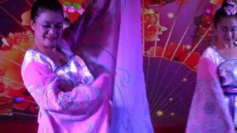 蝶恋花复仇在线观看,在线揭秘爱恨交织的复仇传奇