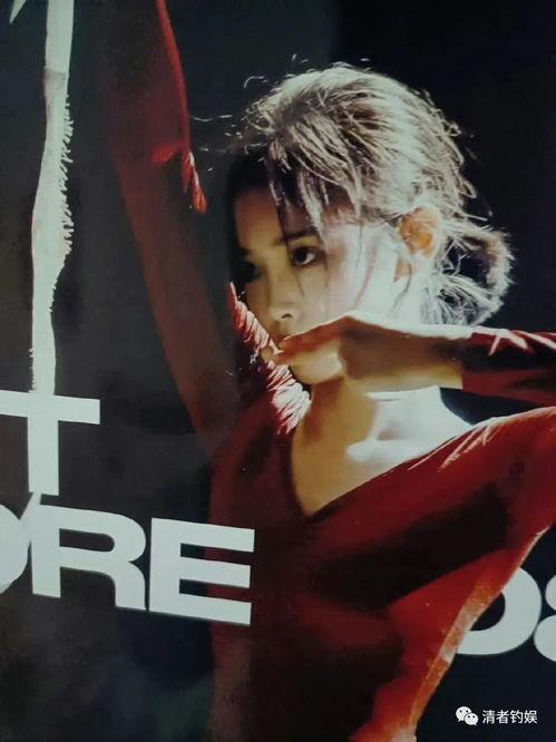 娱乐圈爆料一姐鞠婧祎,娱乐圈爆料一姐的璀璨星途与神秘生活揭秘”