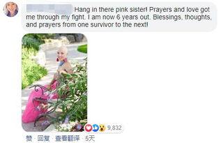 吃瓜夫妻知乎免费阅读,一场知乎免费阅读的甜蜜风暴