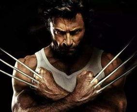 金刚狼1在线观看免费,血战复仇，免费在线观看，重温经典英雄传奇