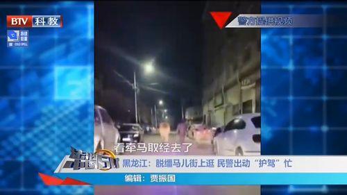 梅州现场新闻爆料视频,独家揭秘事件背后真相