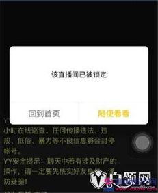 科技爆料大哥视频播放,大哥视频播放背后的科技奥秘