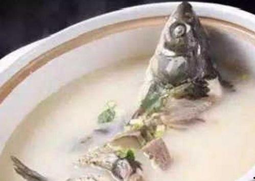 落汤鱼最新爆料,揭秘娱乐圈幕后真相