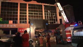 贵港宠物店爆料事件最新,揭露行业黑幕，宠物权益引关注