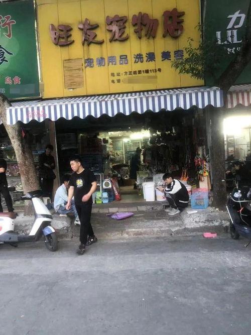 贵港宠物店爆料事件最新,揭露行业黑幕，宠物权益引关注