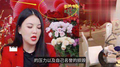 直播爆料港星视频大全最新,精彩瞬间一网打尽