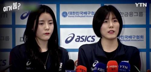 最新爆料电视剧排行榜,热门剧集盘点，哪部是你的心头好？