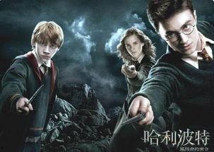 哈利二周年爆料视频完整版,揭秘完整版爆料视频中的精彩瞬间与幕后故事