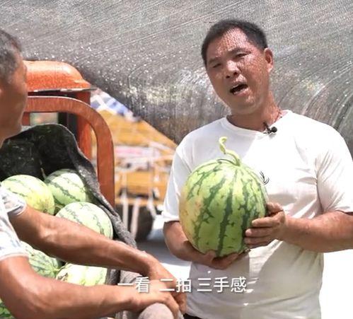 原平吃瓜最新事件爆料是真的吗,最新爆料真相揭秘