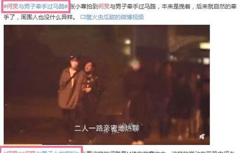 何炅绯闻爆料视频最新,真相与谣言的交织