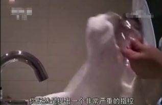 吴先生爆料酒店被抓视频,现场抓拍惊人一幕