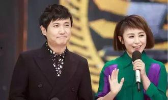 圈内人爆料沈腾马丽,揭秘喜剧界的黄金搭档